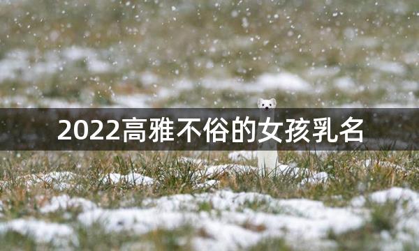 2022高雅不俗的女孩乳名