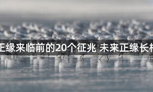 佛说正缘来临前的20个征兆 未来正缘长相推测