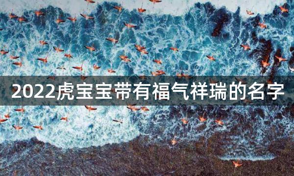 2022虎宝宝带有福气祥瑞的名字