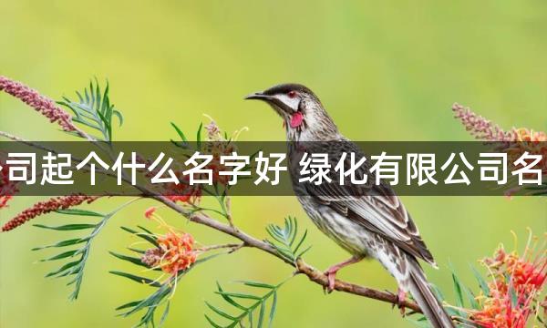 绿化公司起个什么名字好 绿化有限公司名字大全