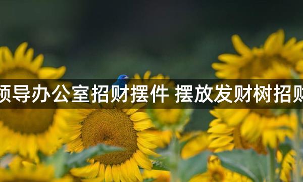 领导办公室招财摆件 摆放发财树招财