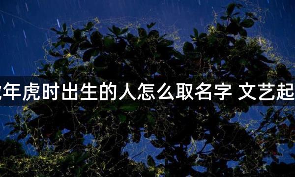 虎年虎时出生的人怎么取名字 文艺起名