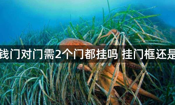 五帝钱门对门需2个门都挂吗 挂门框还是门上