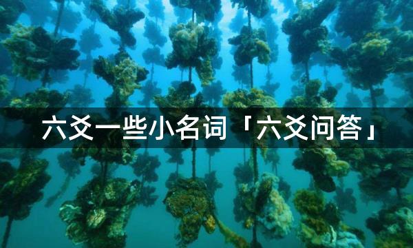 六爻一些小名词「六爻问答」