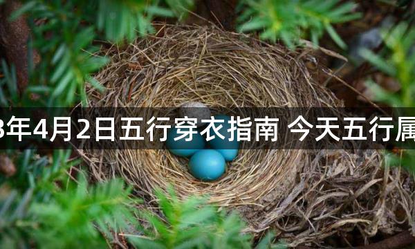 2023年4月2日五行穿衣指南 今天五行属什么