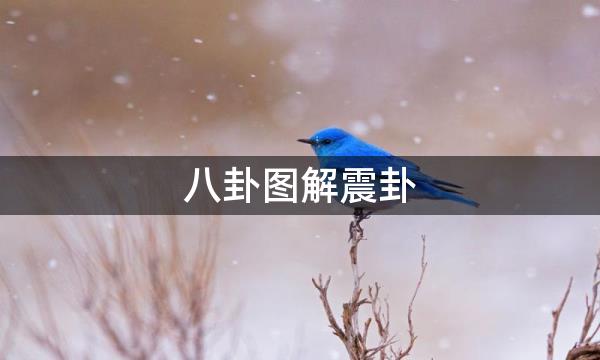 八卦图解震卦，震卦两阴爻在上