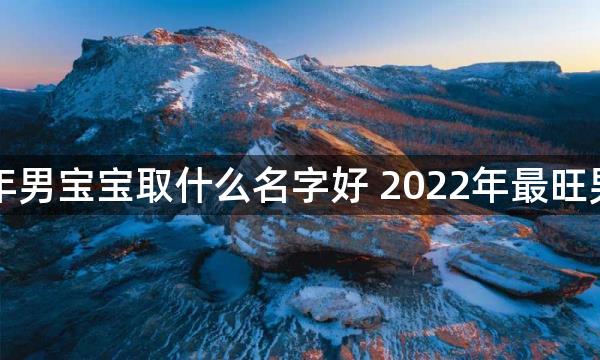 虎年男宝宝取什么名字好 2022年最旺男名