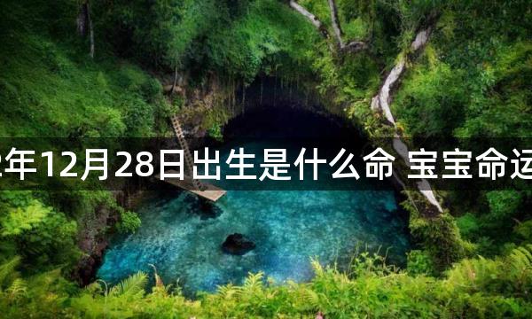 2022年12月28日出生是什么命 宝宝命运解析