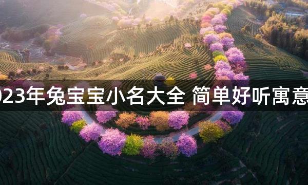 2023年兔宝宝小名大全 简单好听寓意佳