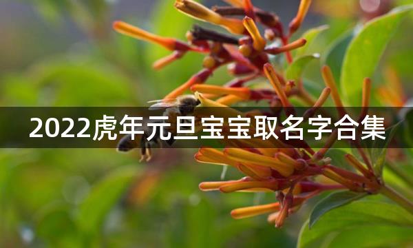 2022虎年元旦宝宝取名字合集