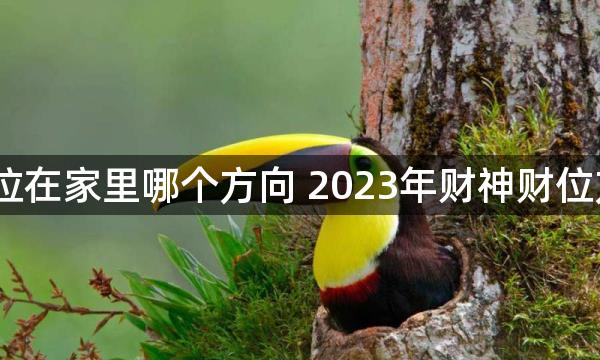 2023年财位在家里哪个方向 2023年财神财位方向和位置