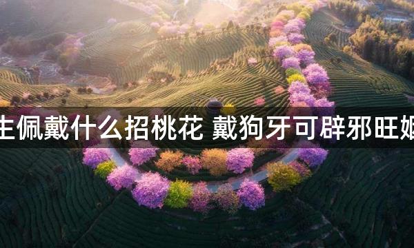 女生佩戴什么招桃花 戴狗牙可辟邪旺姻缘