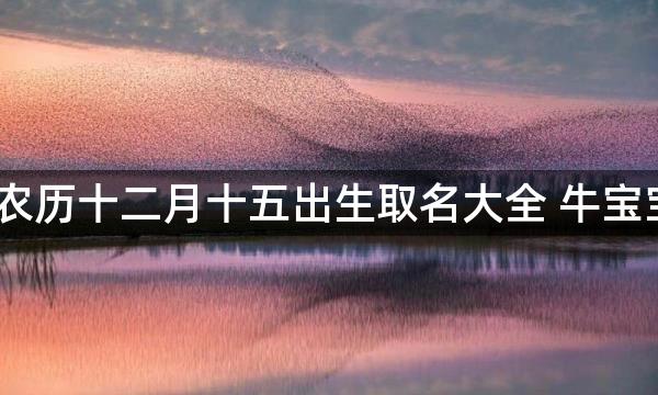 2021年农历十二月十五出生取名大全 牛宝宝宜用字