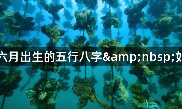 宝宝虎年六月出生的五行八字&nbsp;如何取名字