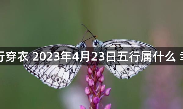 每天五行穿衣 2023年4月23日五行属什么 幸运颜色