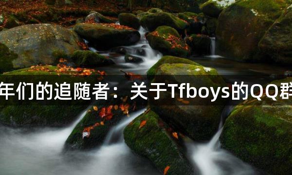 少年们的追随者：关于Tfboys的QQ群名