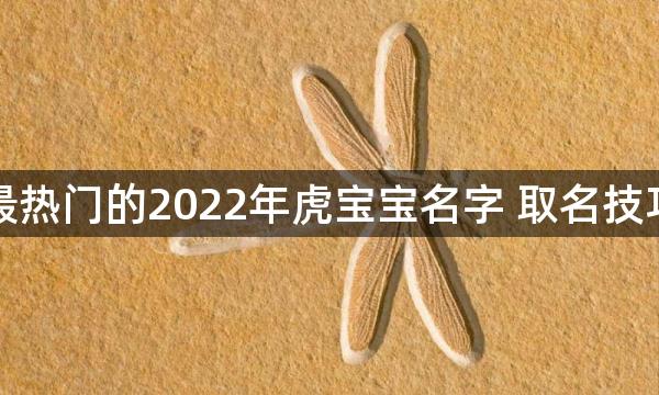 最热门的2022年虎宝宝名字 取名技巧