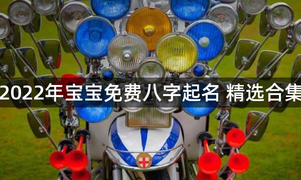 2022年宝宝免费八字起名 精选合集