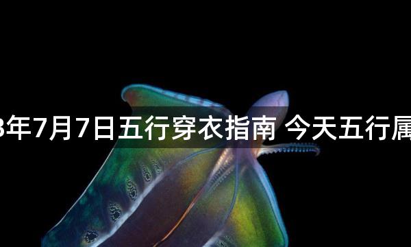 2023年7月7日五行穿衣指南 今天五行属什么