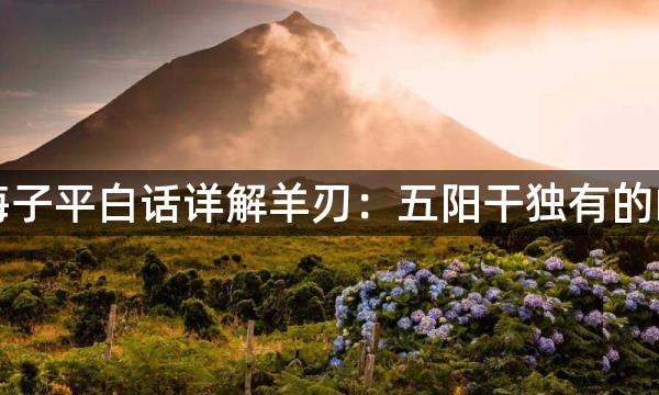 渊海子平白话详解羊刃：五阳干独有的凶神