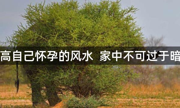 提高自己怀孕的风水  家中不可过于暗淡