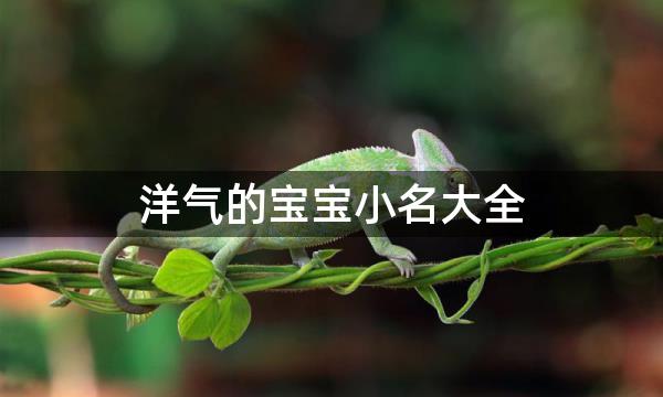 洋气的宝宝小名大全，洋气的宝宝小名精选