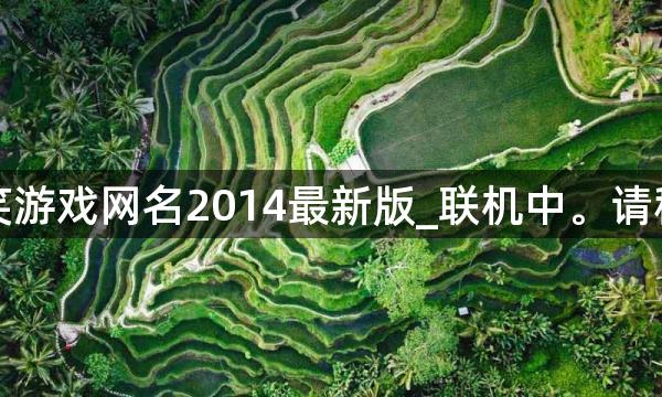 搞笑游戏网名2014最新版_联机中。请稍后