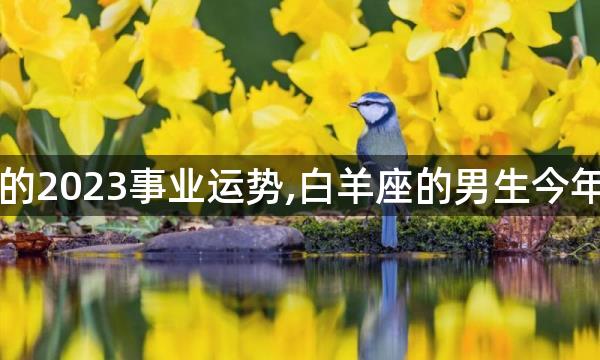 白羊座男的2023事业运势,白羊座的男生今年运气如何