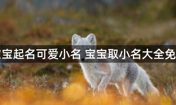 宝宝起名可爱小名 宝宝取小名大全免费