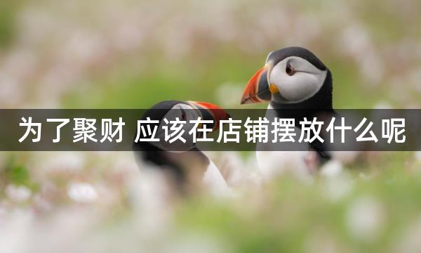 为了聚财 应该在店铺摆放什么呢