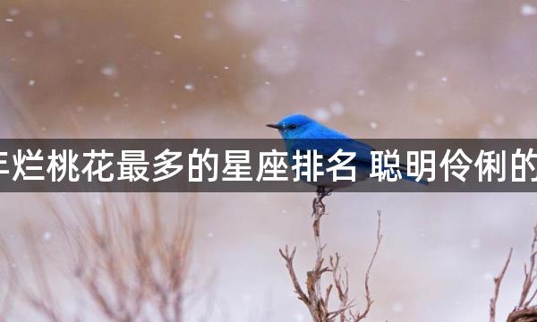 2022年烂桃花最多的星座排名 聪明伶俐的双子座