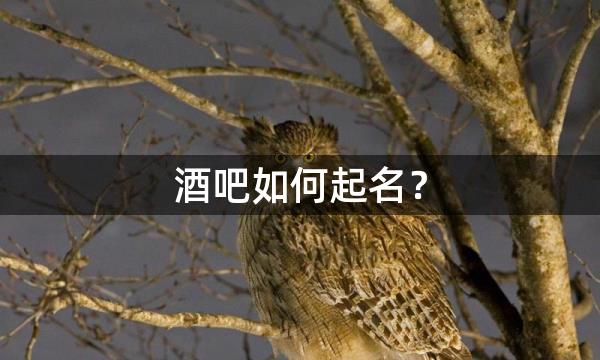 酒吧如何起名？