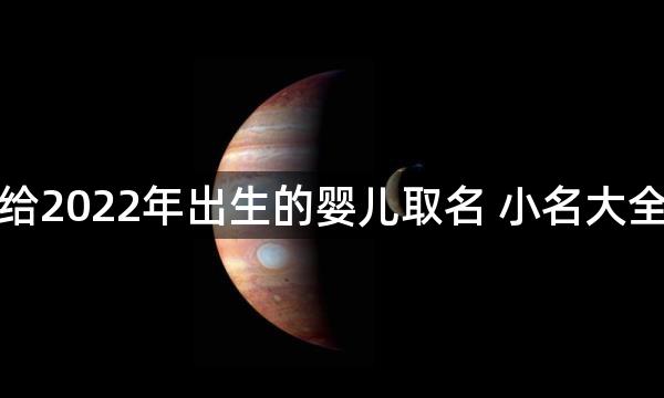 给2022年出生的婴儿取名 小名大全