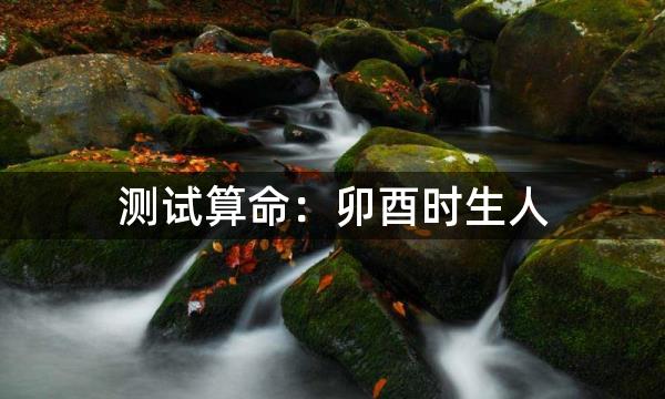 测试算命：卯酉时生人