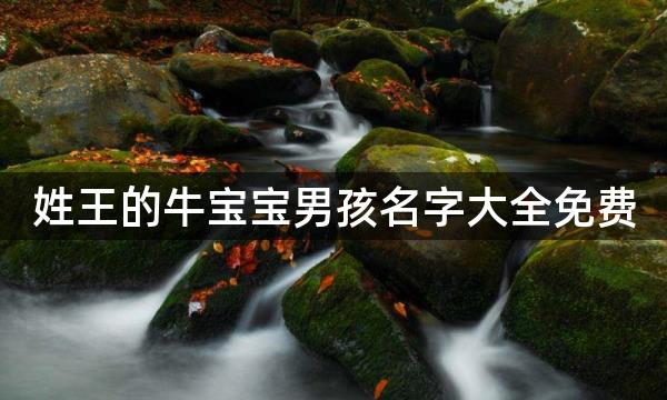 姓王的牛宝宝男孩名字大全免费