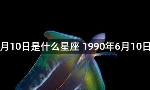 1990年6月10日是什么星座 1990年6月10日是啥星座