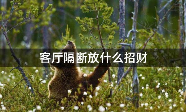 客厅隔断放什么招财