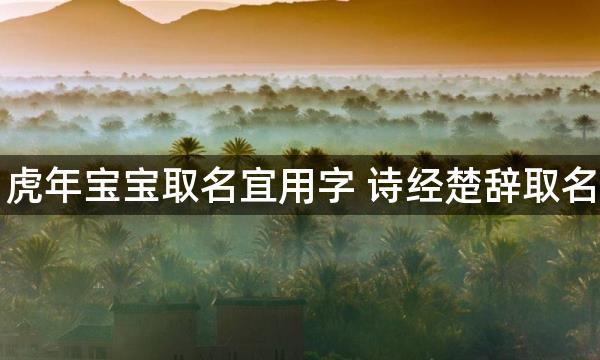 虎年宝宝取名宜用字 诗经楚辞取名