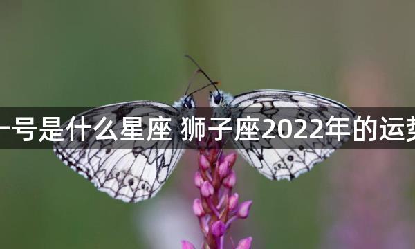 八月十一号是什么星座 狮子座2022年的运势怎么样