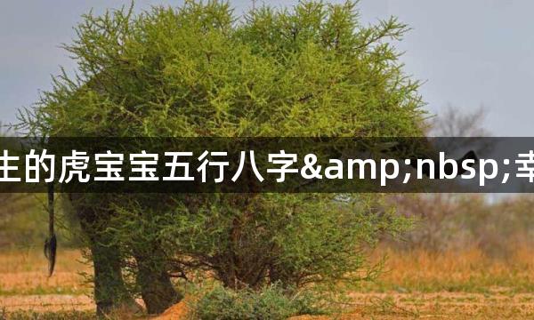 农历八月出生的虎宝宝五行八字&nbsp;幸运吉祥名字