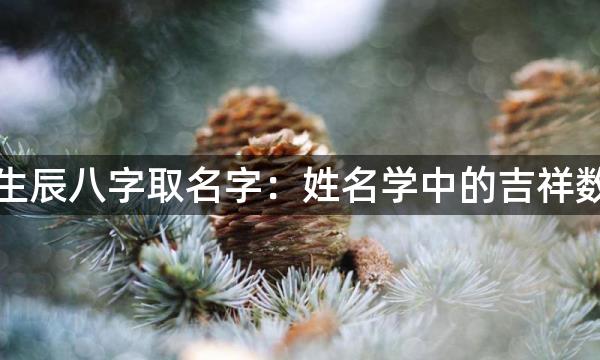 生辰八字取名字：姓名学中的吉祥数