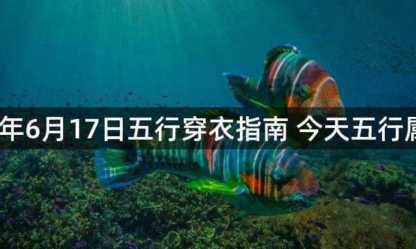 2023年6月17日五行穿衣指南 今天五行属什么