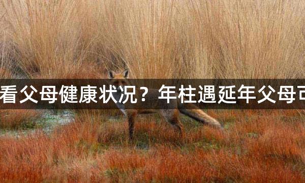 八字怎样看父母健康状况？年柱遇延年父母可以长命？