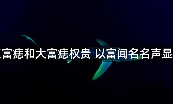 巨富痣和大富痣权贵 以富闻名名声显赫