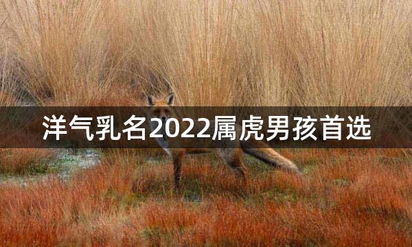 洋气乳名2022属虎男孩首选