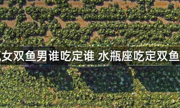 水瓶女双鱼男谁吃定谁 水瓶座吃定双鱼座吗