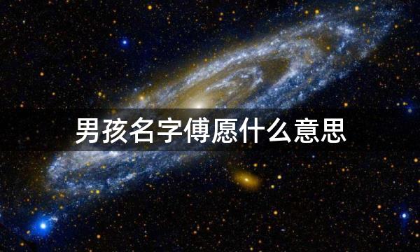 男孩名字傅愿什么意思