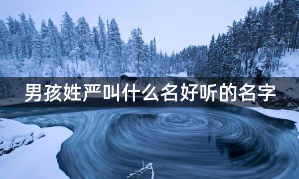 男孩姓严叫什么名好听的名字