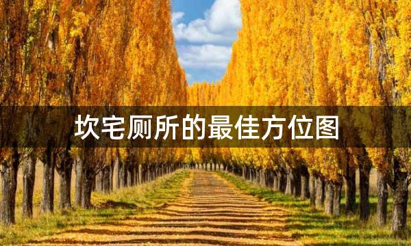 坎宅厕所的最佳方位图