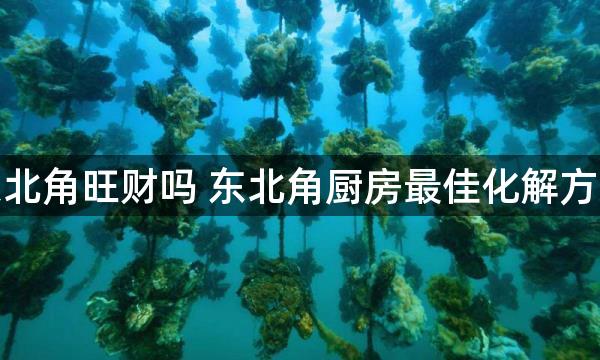 厨房在东北角旺财吗 东北角厨房最佳化解方案有哪些